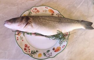 Cena per bambini